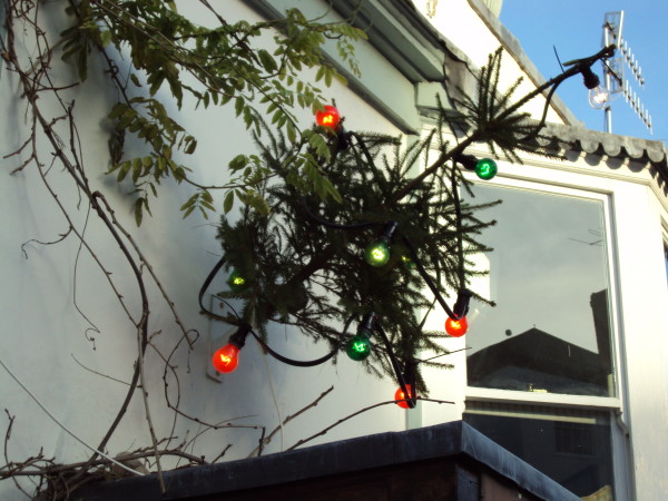 ChristmasTreeOutside