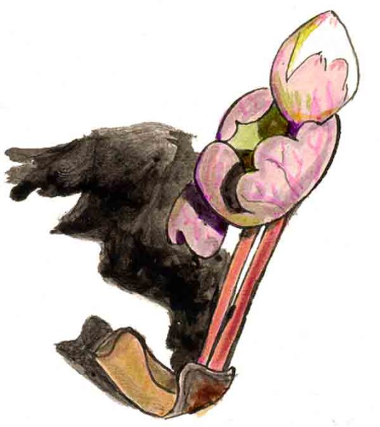 Blooroot about to open